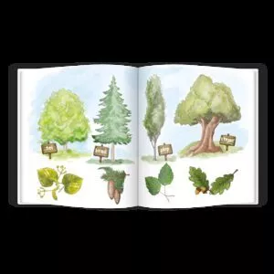 carte educativa pupo invata sa protejeze natura 1
